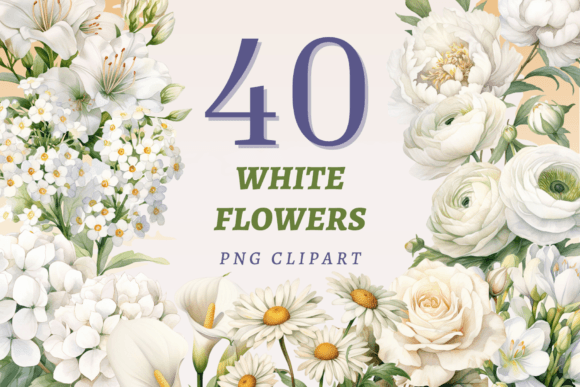 Download White Flowers PNG Bundle - White Collection