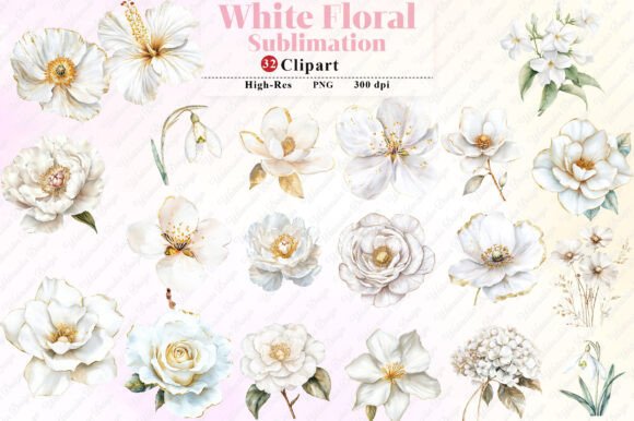 Download Watercolor White Floral Clipart - White Collection