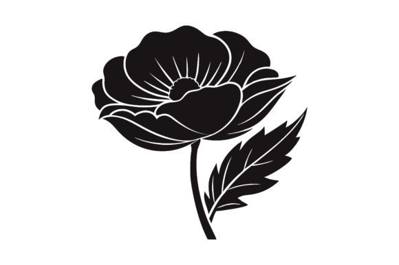 Download Poppy Flower Illustration. - Poppy flower Collection