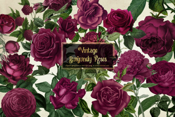 Download Vintage Burgundy Roses Clipart - Roses Collection