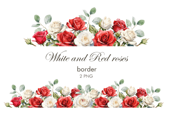 Download Watercolor White and Red Roses Border - Premium Resources