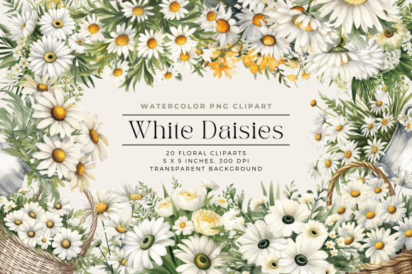 Download Watercolor White Daisies Flower Clipart - White Collection
