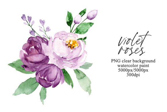 Download Watercolor Violet Flowers Roses, PNG. - Roses Collection