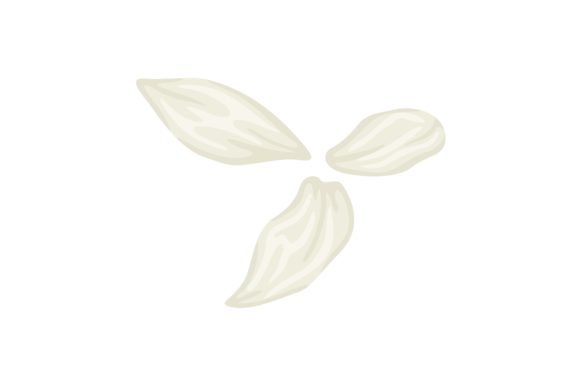 Download White Daisy Petals Illustration Vector - White Collection