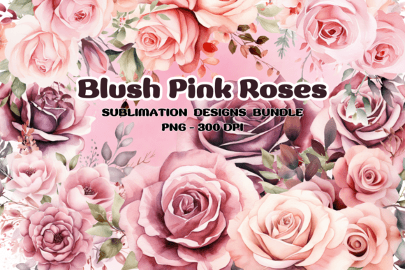 Download Blush Pink Roses Flowers Watercolor PNG - Roses Collection