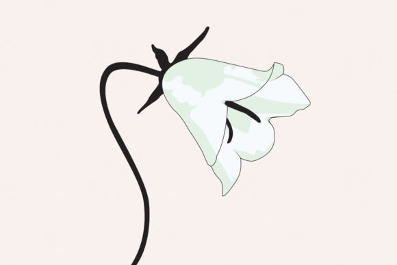 Download Vector White Violet Flower with Stem - White Collection