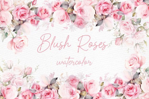 Download Watercolor Roses Clipart Blush Floral - Roses Collection