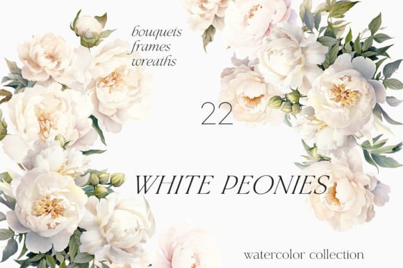 Download White Peony Watercolor Floral Set - White Collection