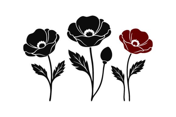 Download Poppy Flower Illustration. - Poppy flower Collection