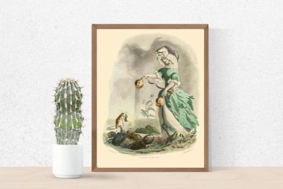 Download Poppy Flower Illustration - Poppy flower Collection