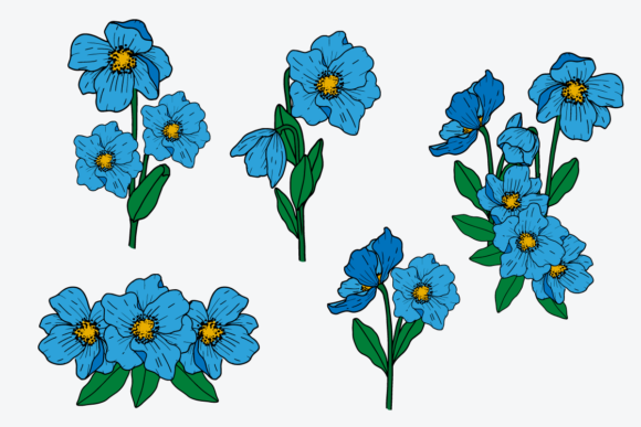 Download Himalayan Poppy Flower Illustration SVG - Poppy flower Collection