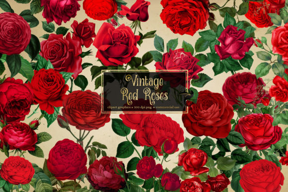 Download Vintage Red Roses Clipart - Roses Collection