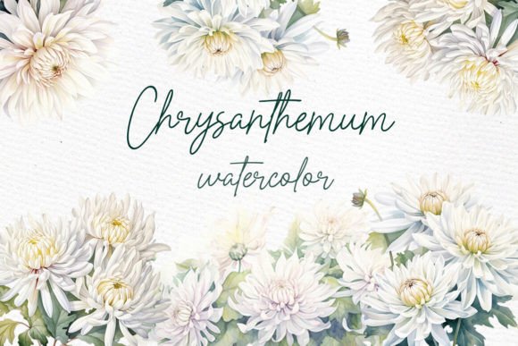 Download White Floral Clipart White Chrysanthemum - White Collection