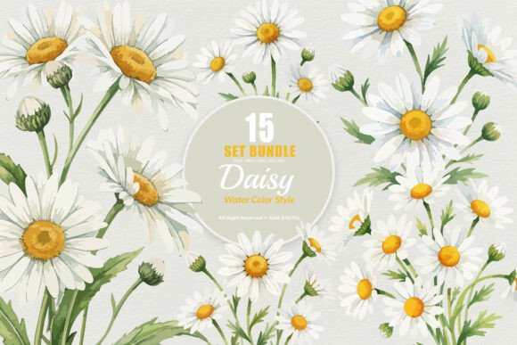 Download 15 Bundle Watercolor Daisy Flower White - White Collection