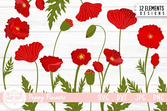 Download Poppy Flower Illustration Bundle | Poppy - Poppy flower Collection
