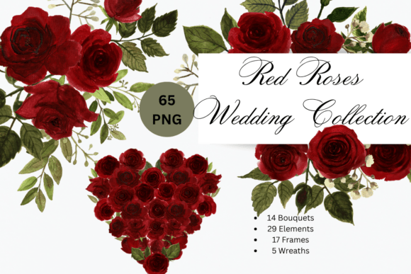 Download Watercolor Red Roses Wedding Collection - Roses Collection