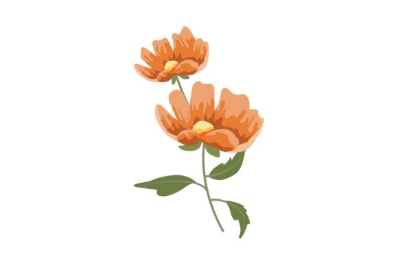 Download Orange Poppy Flower Illustration - Poppy flower Collection
