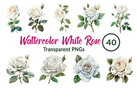 Download Watercolor White Rose Clipart - White Collection